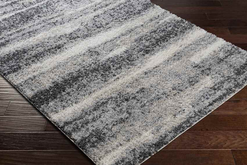 Le Roy Modern Charcoal Area Rug