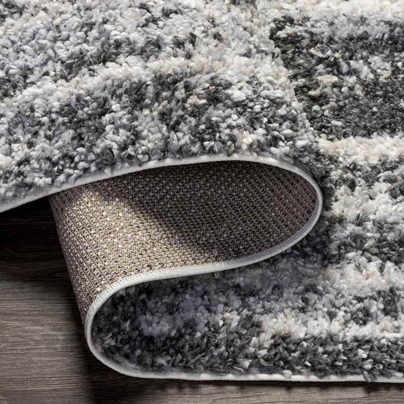 Le Roy Modern Charcoal Area Rug