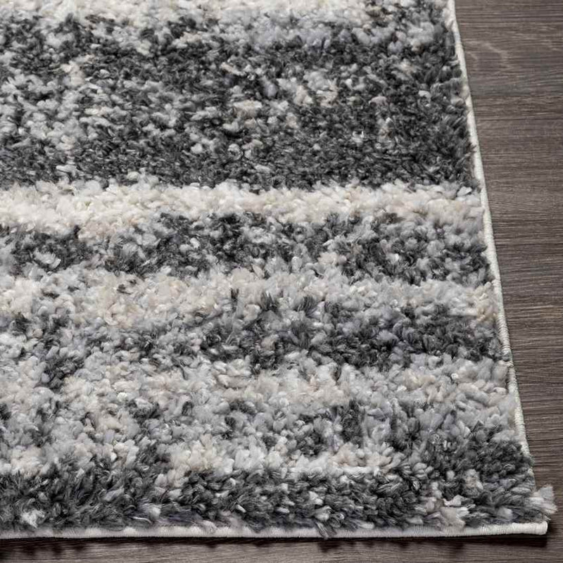 Le Roy Modern Charcoal Area Rug