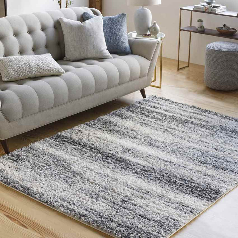 Le Roy Modern Charcoal Area Rug