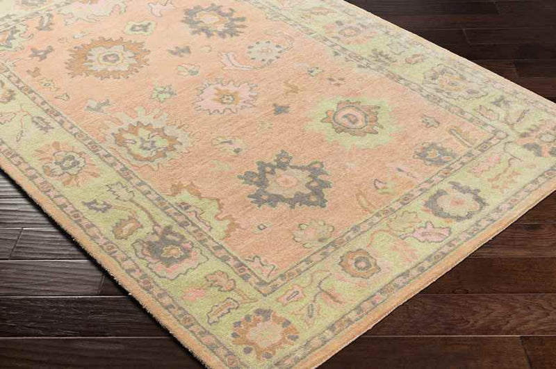 New Albany Traditional Peach Area Rug