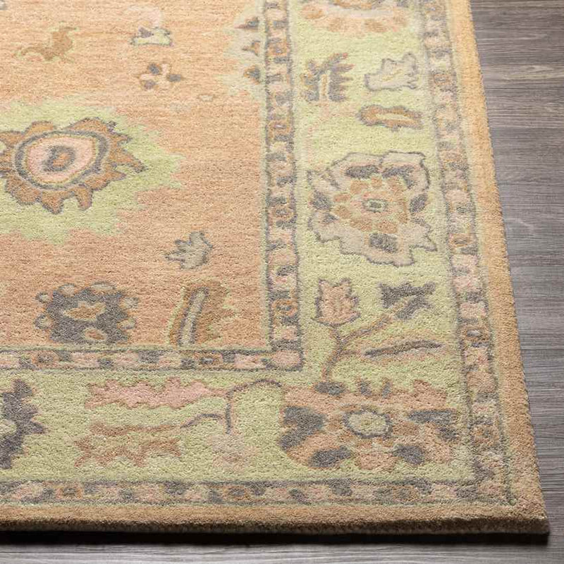 New Albany Traditional Peach Area Rug