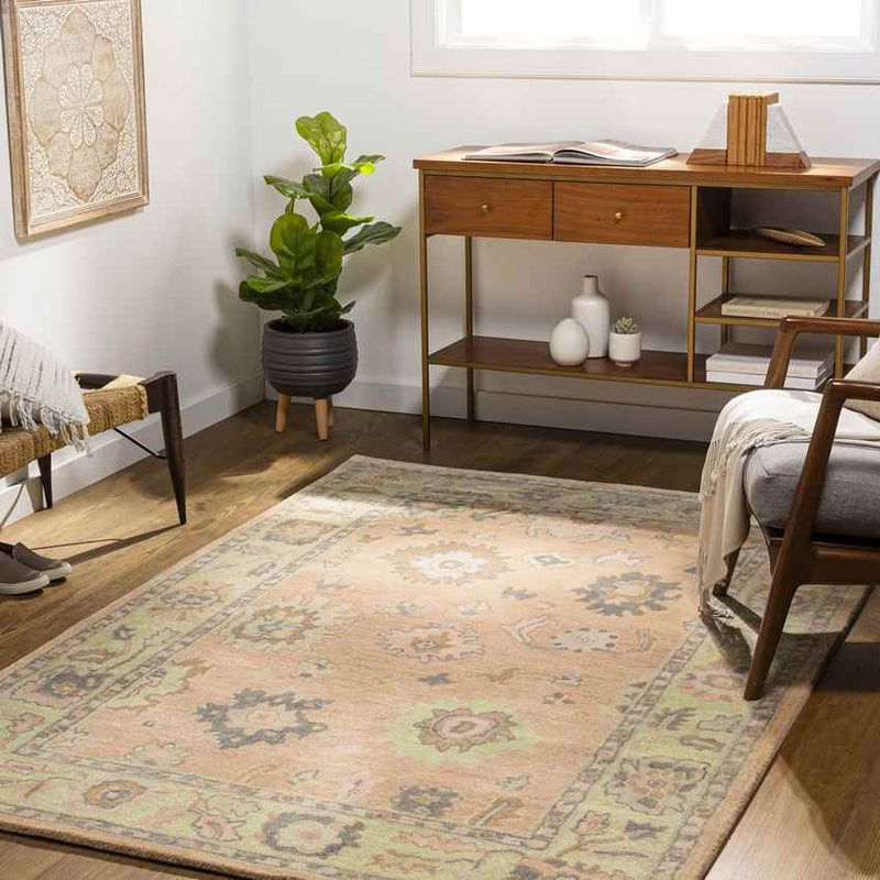 New Albany Traditional Peach Area Rug