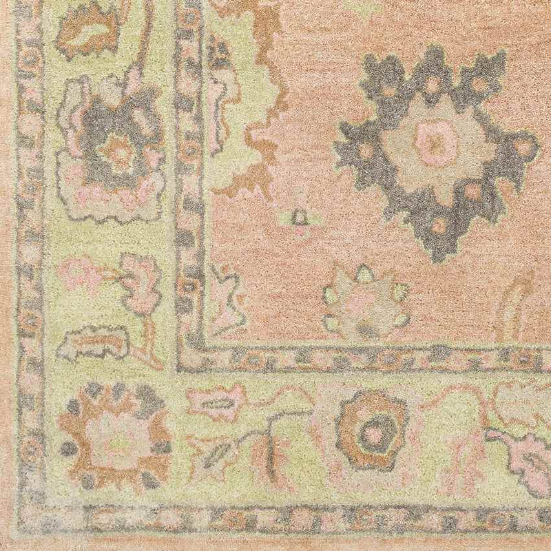 New Albany Traditional Peach Area Rug