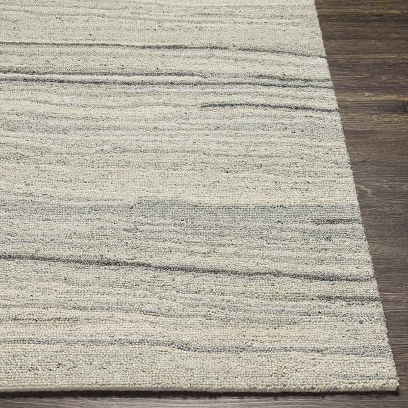 Rudd Modern Beige Area Rug