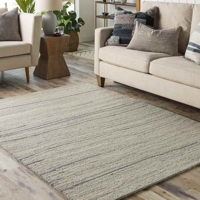 Rudd Modern Beige Area Rug