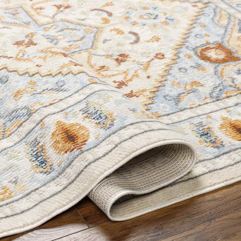 Crescent Traditional Beige Area Rug