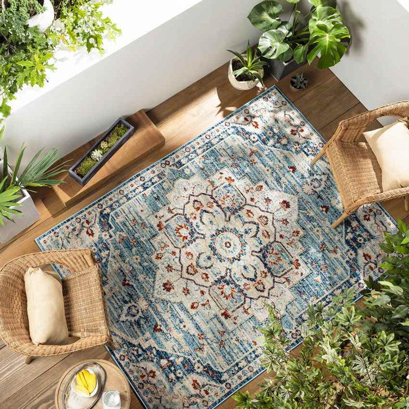 Spencer Indoor / Outdoor Teal Area Rug