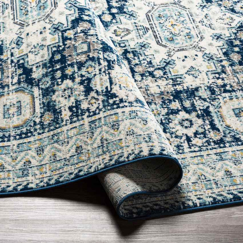 Avilla Traditional Teal Area Rug