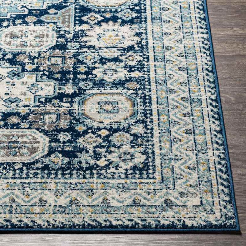 Avilla Traditional Teal Area Rug