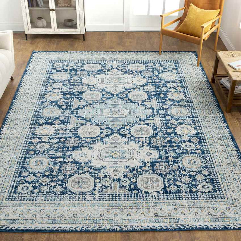 Avilla Traditional Teal Area Rug