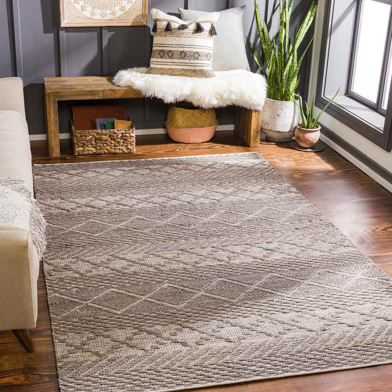 Sue Global Medium Gray Area Rug