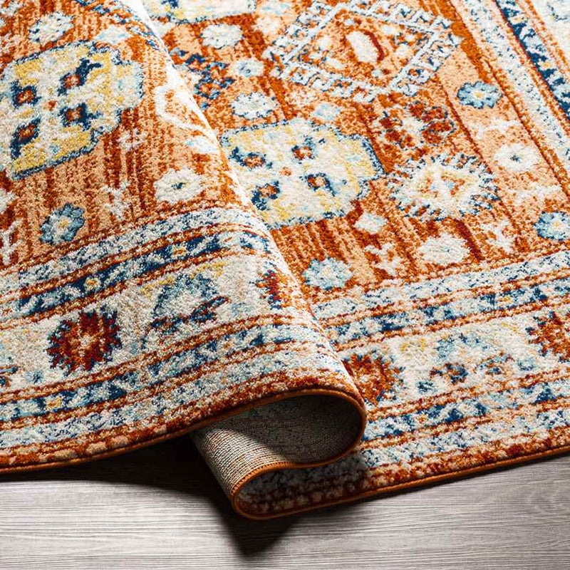 Cadiz Traditional Burnt Orange Area Rug