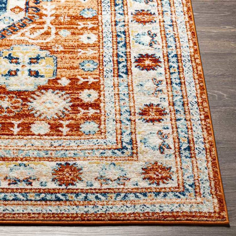 Cadiz Traditional Burnt Orange Area Rug