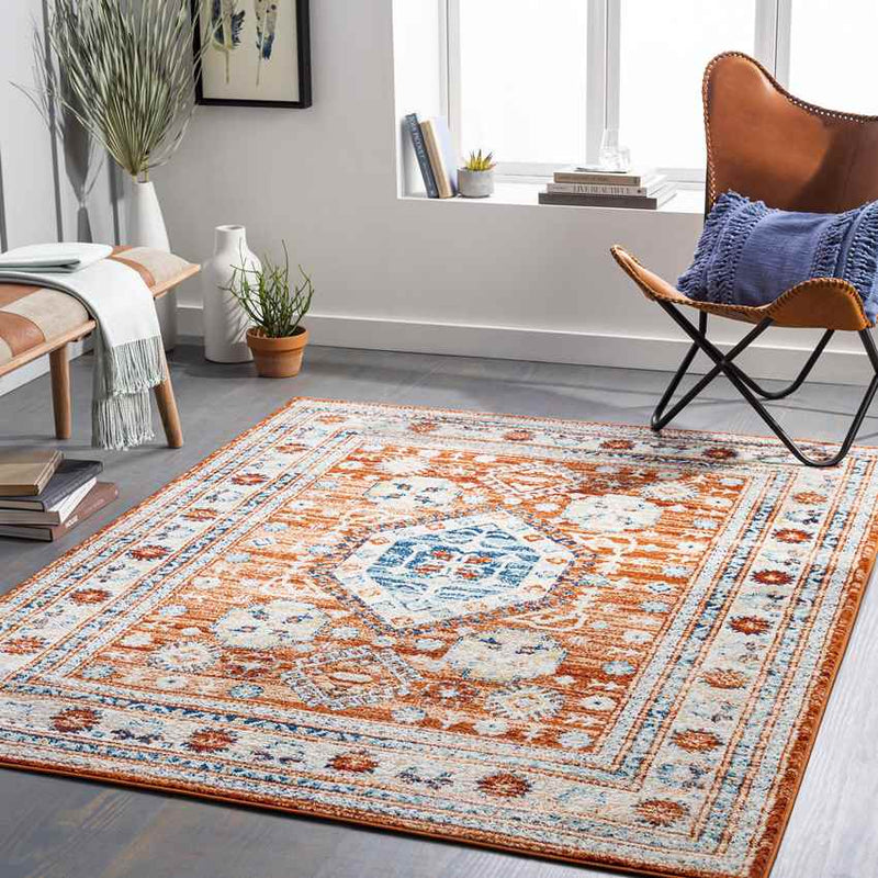 Cadiz Traditional Burnt Orange Area Rug