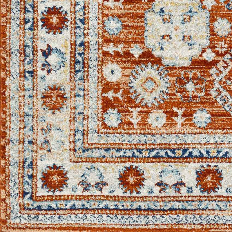 Cadiz Traditional Burnt Orange Area Rug