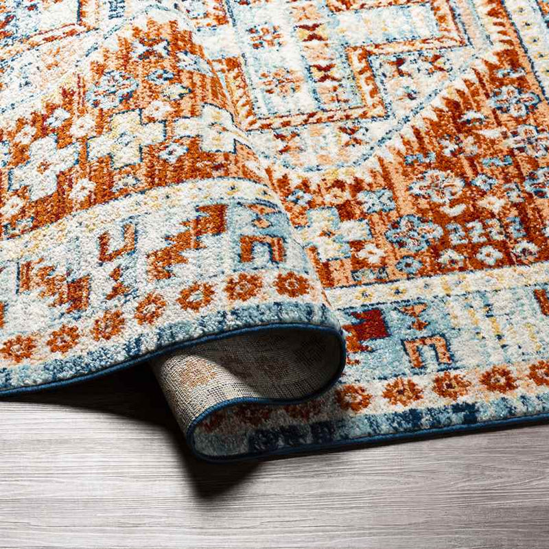 Chalmers Traditional Burnt Orange Area Rug