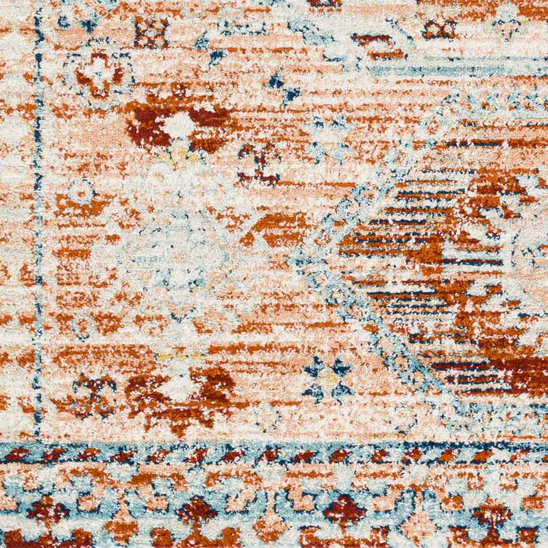 Riczi Traditional Burnt Orange Area Rug