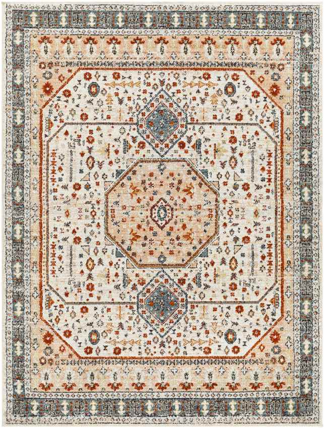 Coatesville Traditional Burnt Orange Area Rug