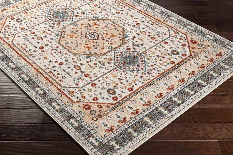 Coatesville Traditional Burnt Orange Area Rug