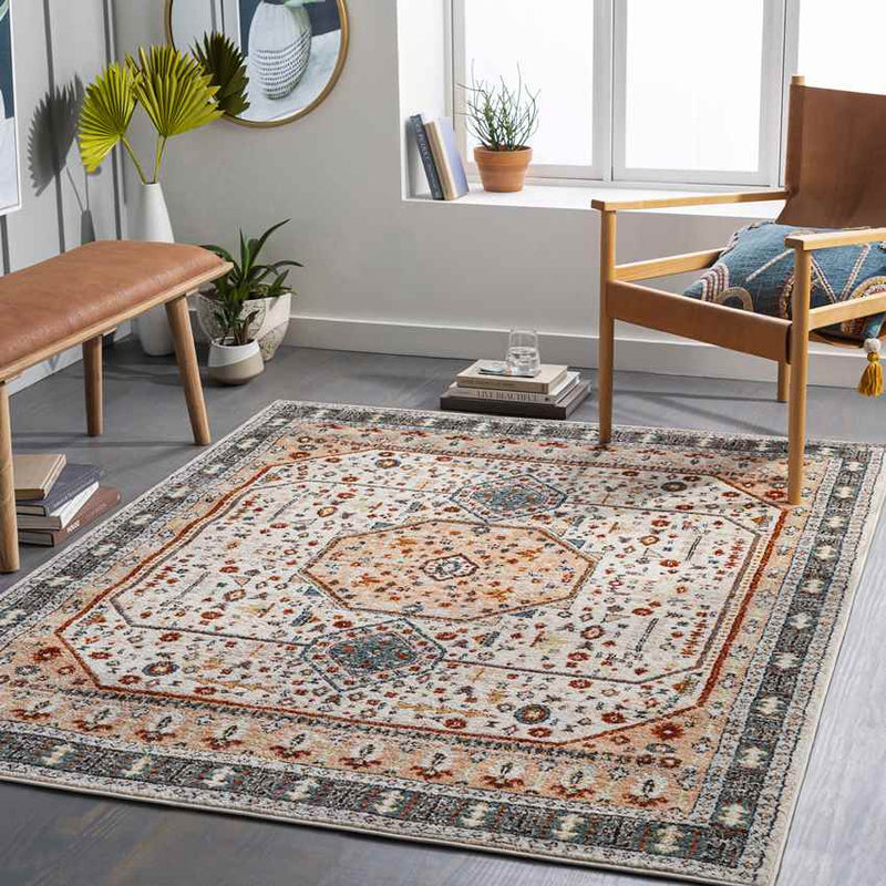 Coatesville Traditional Burnt Orange Area Rug