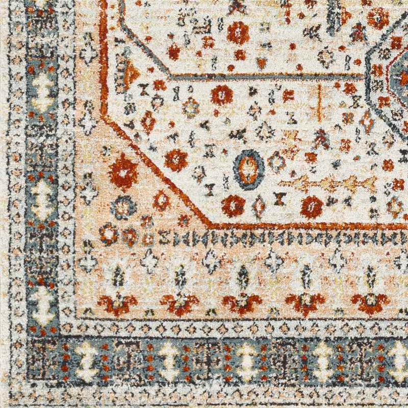 Coatesville Traditional Burnt Orange Area Rug