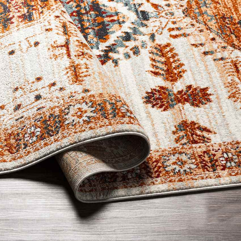 Darmstadt Traditional Burnt Orange Area Rug