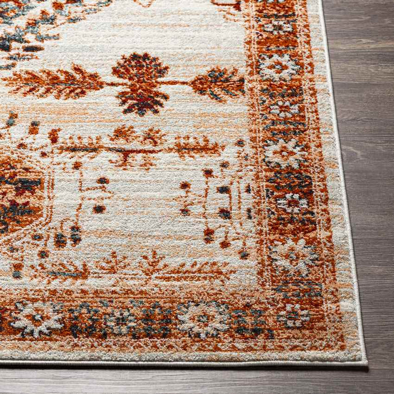 Darmstadt Traditional Burnt Orange Area Rug