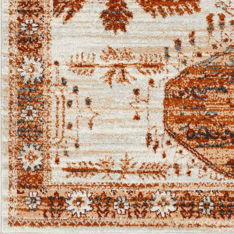 Darmstadt Traditional Burnt Orange Area Rug