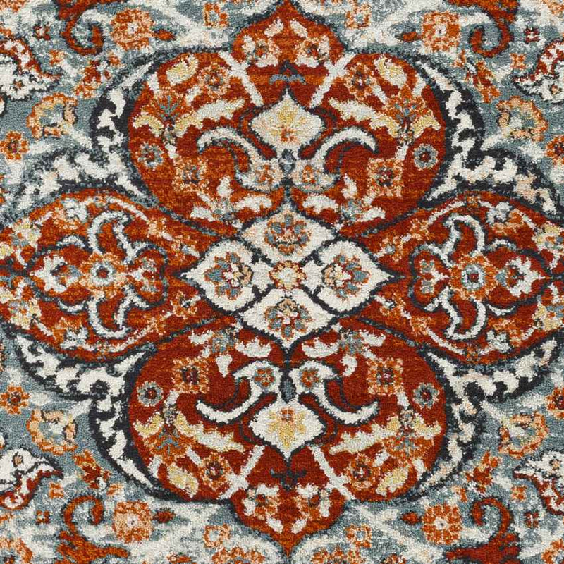 Decker Traditional Tangerine Area Rug