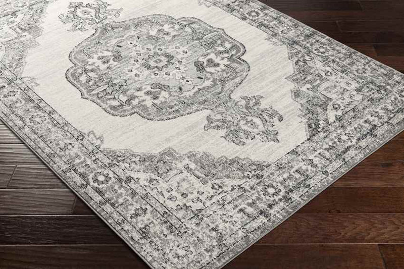 Dugger Traditional Gray Area Rug