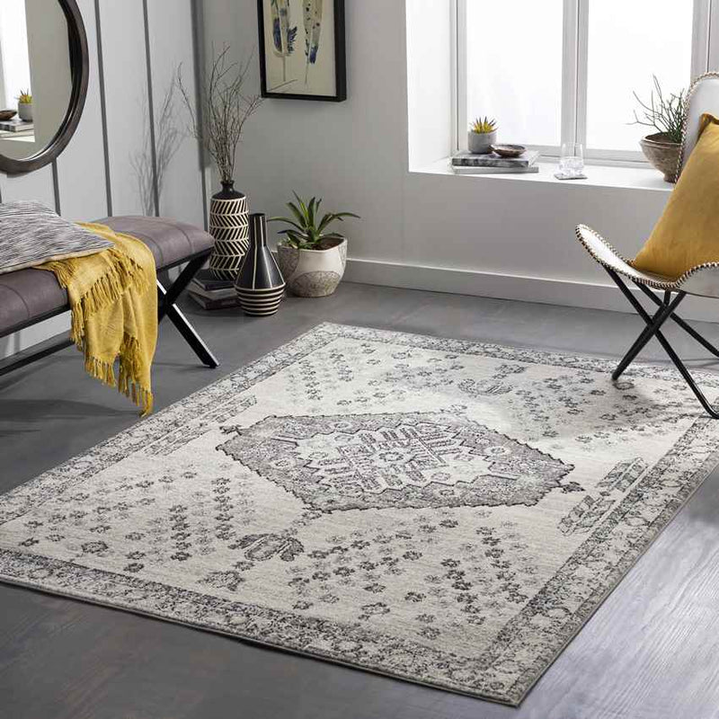 Economy Traditional Gray Area Rug