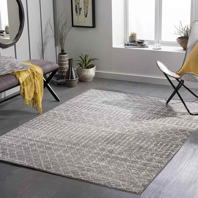 Elberfeld Global Medium Gray Area Rug