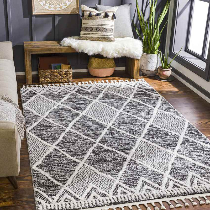 Jo Daviess Global Black Area Rug