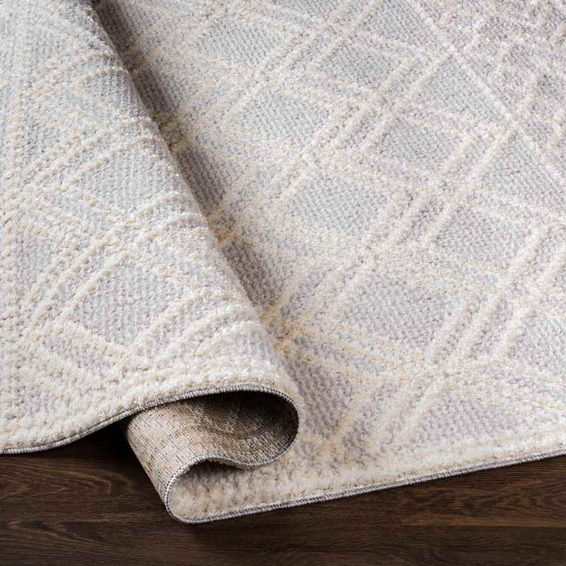 Noblesville Global Light Gray Area Rug