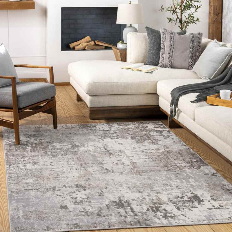 Sheldahl Modern Light Gray Area Rug