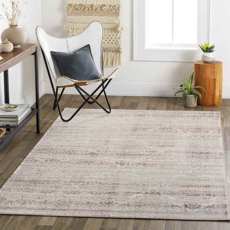 Shenandoah Traditional Beige Area Rug