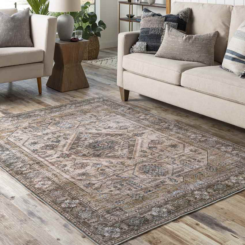 Washta Traditional Taupe Washable Area Rug