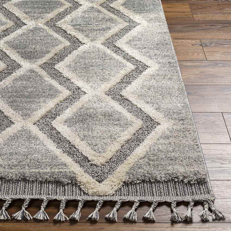 Waukee Global Charcoal Area Rug