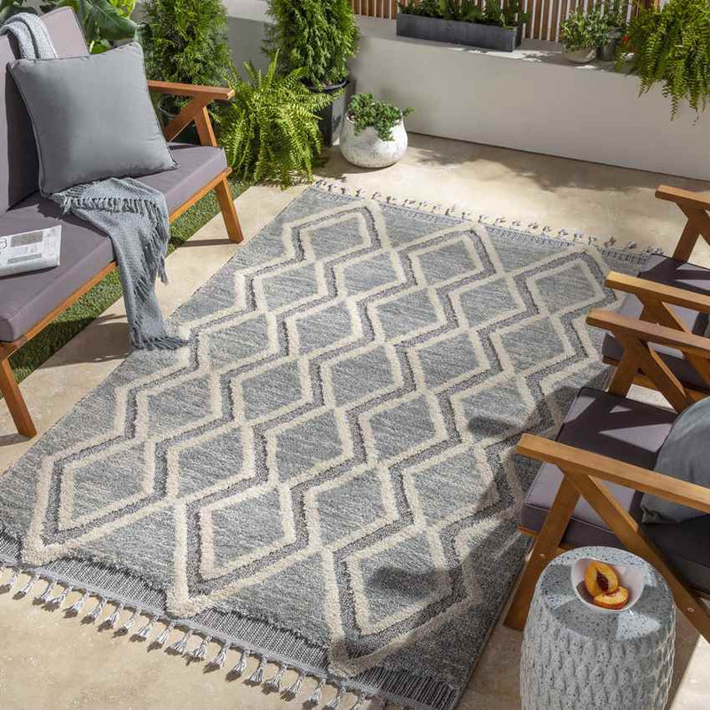 Waukee Global Charcoal Area Rug