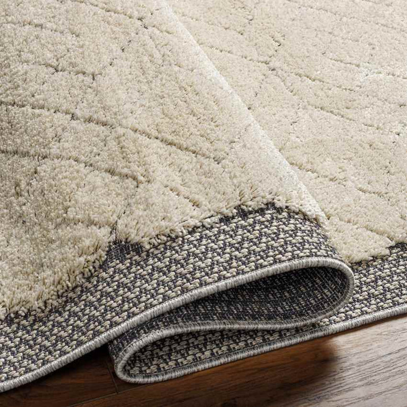 Wellsburg Global Beige Area Rug