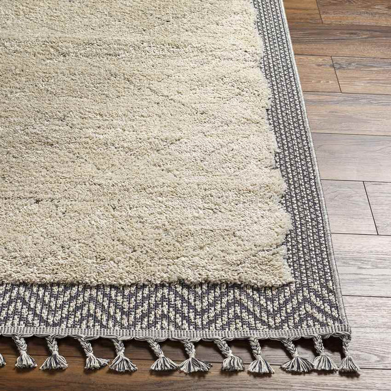 Wellsburg Global Beige Area Rug