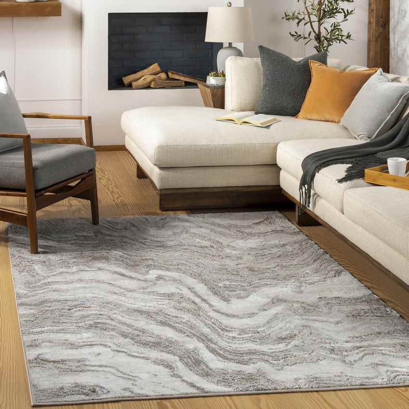 Graettinger Modern Light Brown Area Rug