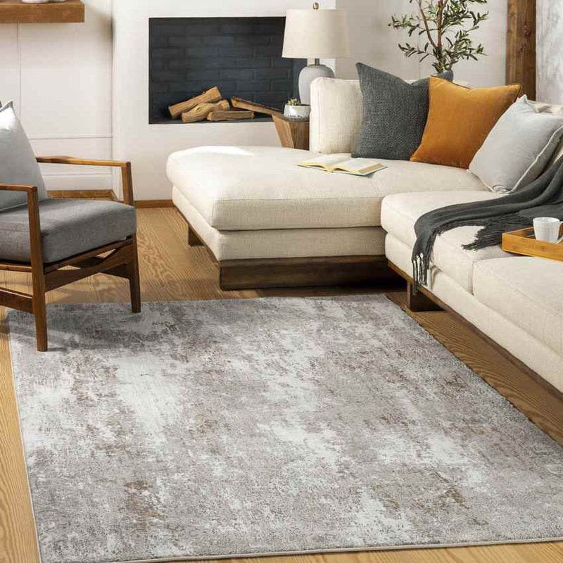 Graf Modern Beige Area Rug