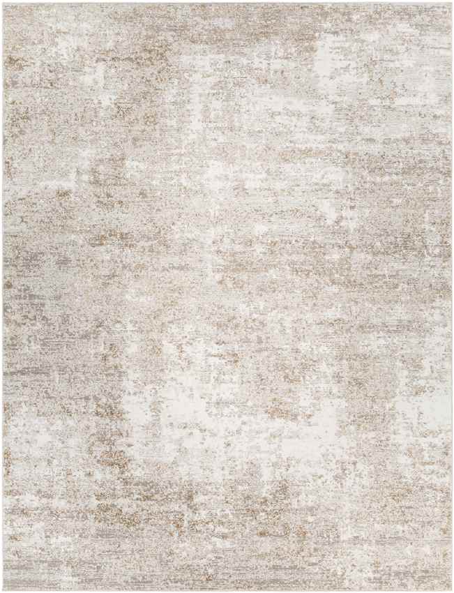 Grand River Modern Beige Area Rug