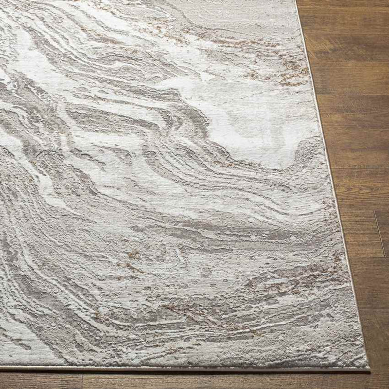 Earlton Modern Light Gray Area Rug