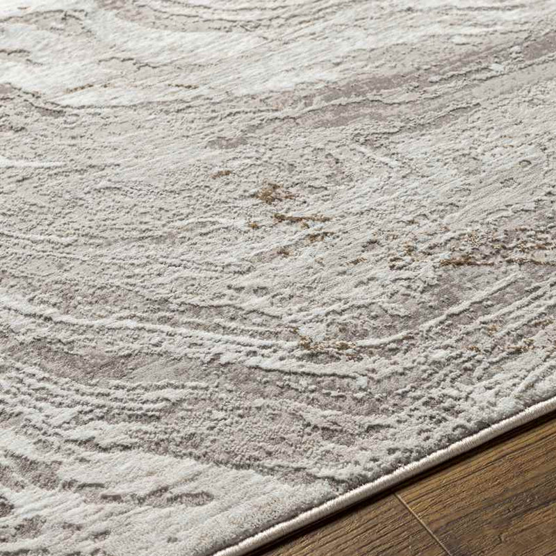 Earlton Modern Light Gray Area Rug