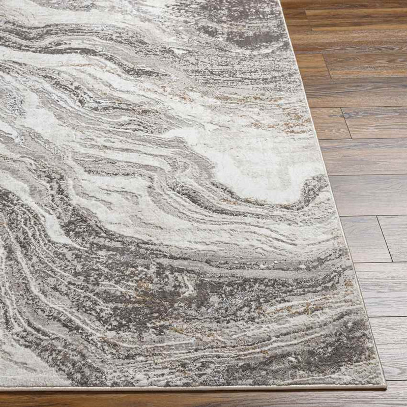 Earlton Modern Charcoal Area Rug