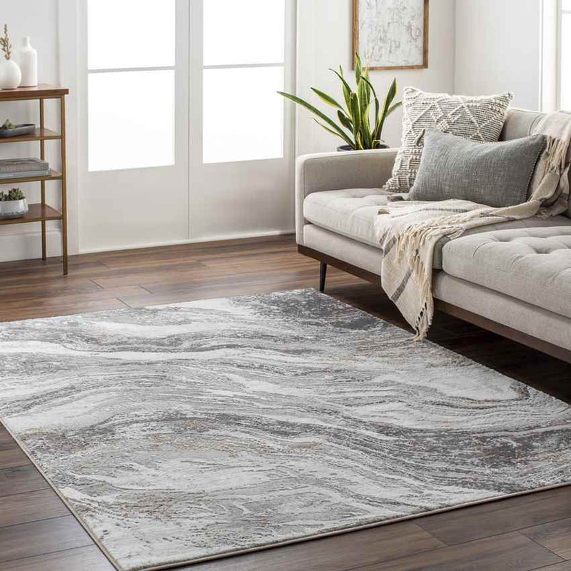 Earlton Modern Charcoal Area Rug