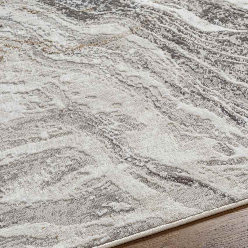 Earlton Modern Charcoal Area Rug